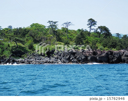 城ケ崎海岸 15762946