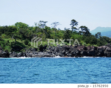 城ケ崎海岸 15762950