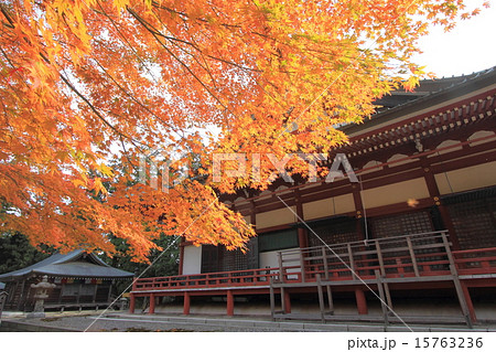 滋賀　秋の比叡山延暦寺 15763236
