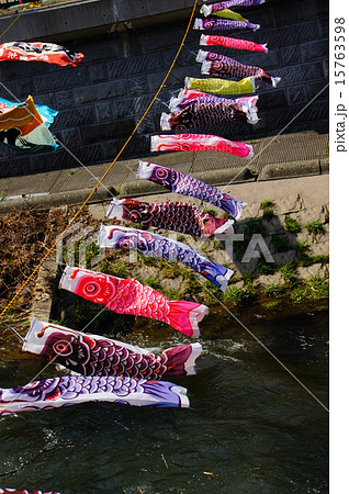 鯉のぼり 15763598