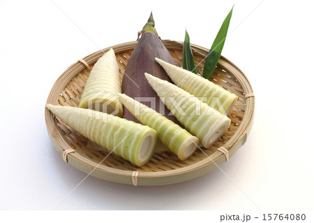 タケノコ（ハチク) 15764080