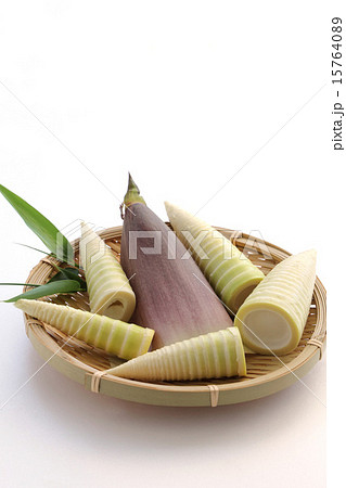 タケノコ（ハチク) 15764089