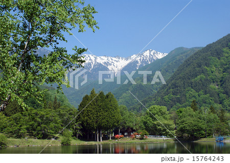 初夏の駒ヶ岳 15764243