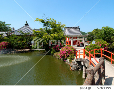 宇賀神社と神池(岡山) 宇賀神社と神池(岡山) 15764499