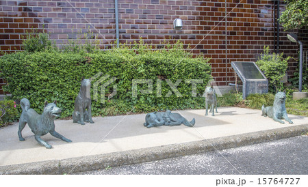 徳川綱吉の犬屋敷の跡地を伝える犬の像（東京都中野区） 15764727