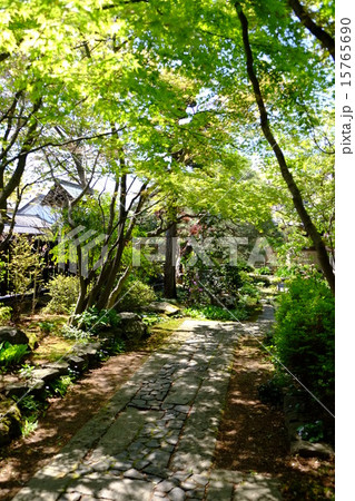 おぶせオープンガーデン(縦斜め) おぶせオープンガーデン(縦斜め) 15765690