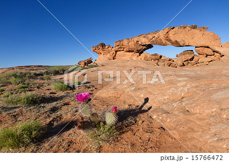 Sunset Arch 15766472