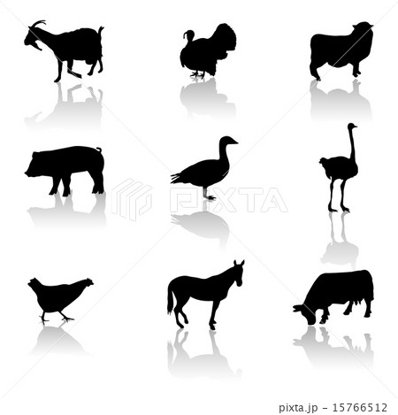 farm animals icons 15766512