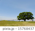 瀬戸大橋 15768437