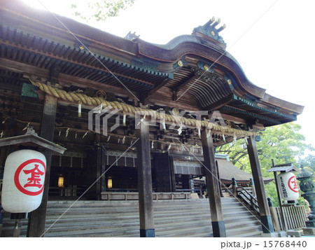 金比羅山 15768440