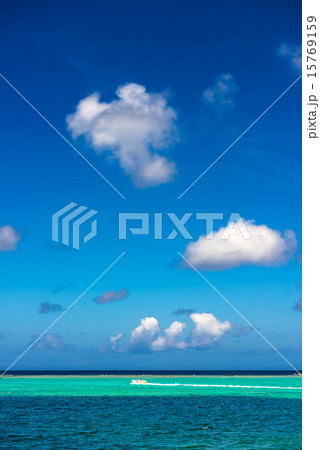 沖縄の海 15769159