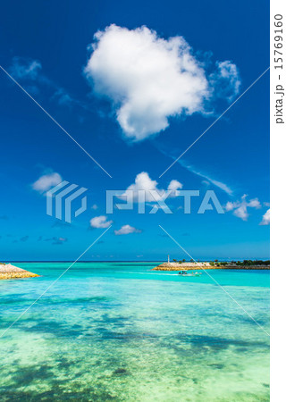 沖縄の海 15769160