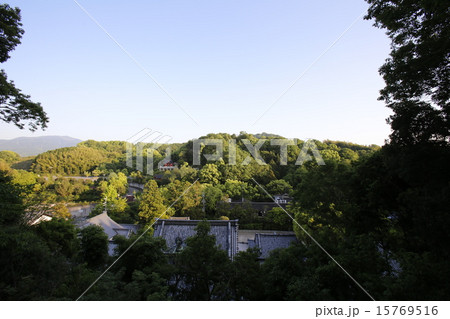 瀧谷不動尊 15769516