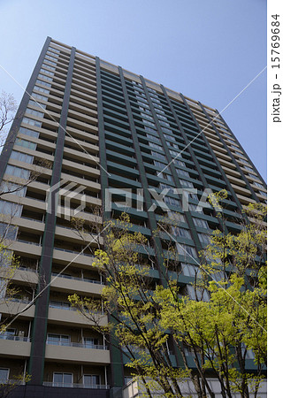 東京 臨海副都心都市風景 東京 臨海副都心都市風景 15769684