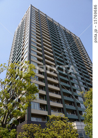 東京　臨海副都心都市風景 15769686