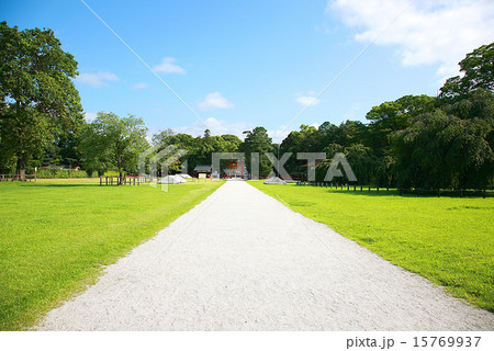 夏の上賀茂神社、参道 15769937