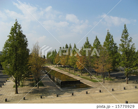 さいたまスタジアム2002 15770929