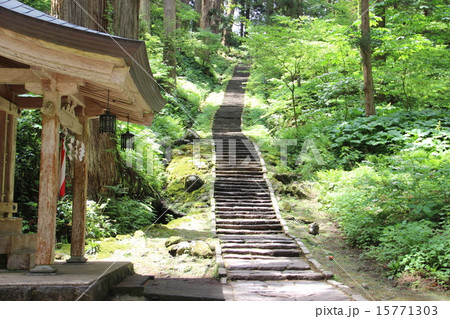 羽黒山の石段 羽黒山の石段 15771303
