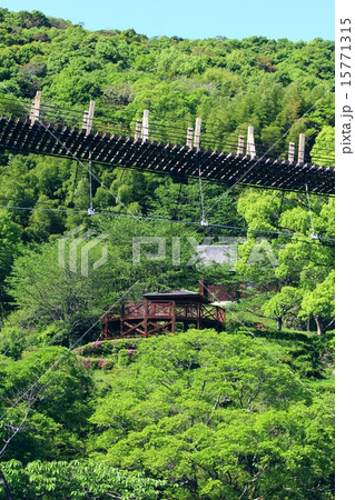立神峡 龍神橋 立神峡 龍神橋 15771315