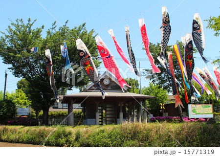 見晴台駅のコイノボリ 15771319