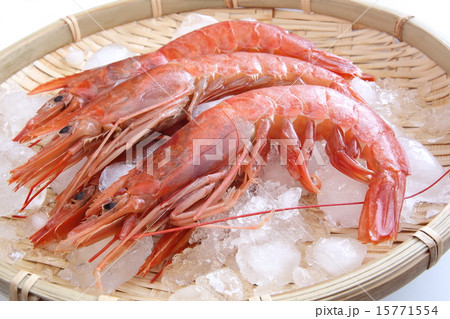 海老　赤海老　生　食材　白背景 15771554