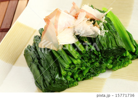 ほうれん草のおひたし 15771736