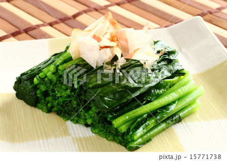 ほうれん草のおひたし 15771738