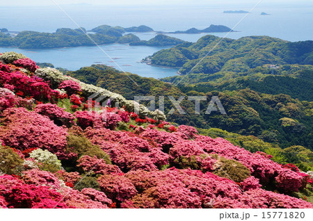 長串山のつつじ 15771820