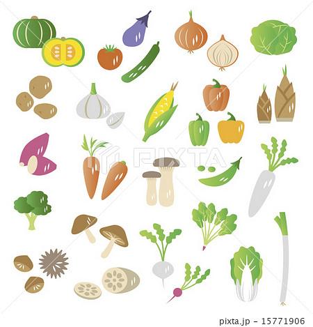 Set of vegetables 15771906