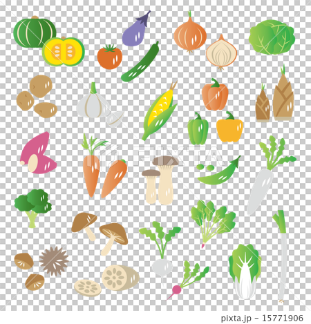 Set of vegetables 15771906
