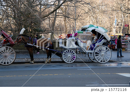 セントラルパーク南端 観光用馬車 セントラルパーク南端 観光用馬車 15772116