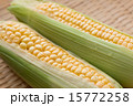 とうもろこし 15772258