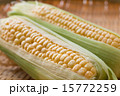 とうもろこし 15772259