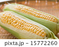 とうもろこし 15772260