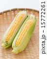 とうもろこし 15772261