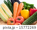 野菜盛り合わせ 15772269