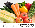 野菜盛り合わせ 15772272
