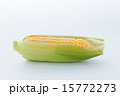 とうもろこし 15772273