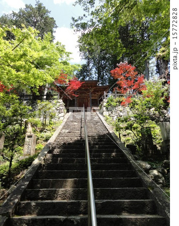 山寺の石段の写真素材