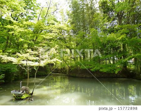 象山神社の池 象山神社の池 15772898