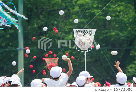 運動会　玉入れ 15773000