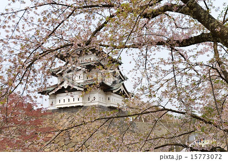 弘前城 15773072