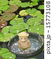 カッパの神様？ 15773108
