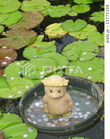 カッパの神様？ 15773108