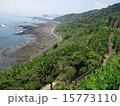 鬼の洗濯岩 15773110