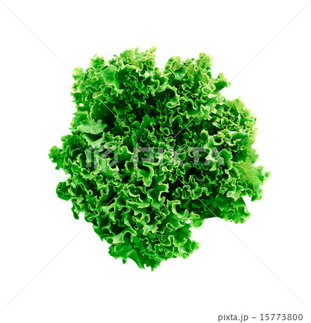 green leaves lettuce 15773800
