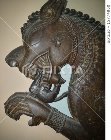 ショドルバリ 15774960