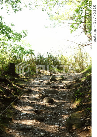 山之辺の道 15775310