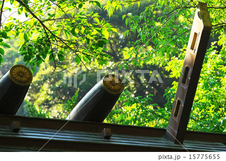 金崎宮@敦賀 金崎宮@敦賀 15775655