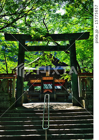 金崎宮@敦賀 金崎宮@敦賀 15775657